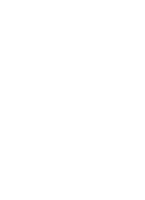 Richardsonics logo